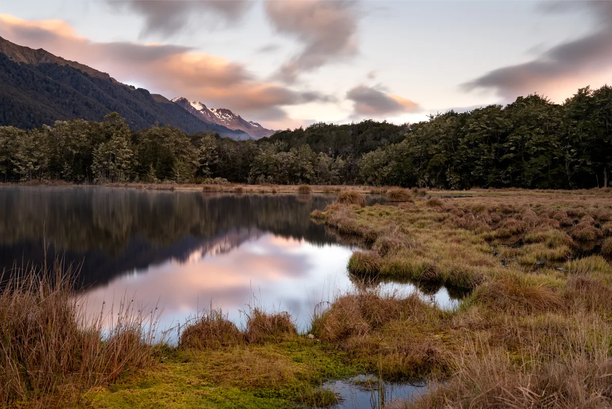 Tents and vans beside the lake at Mavora Lakes campsite