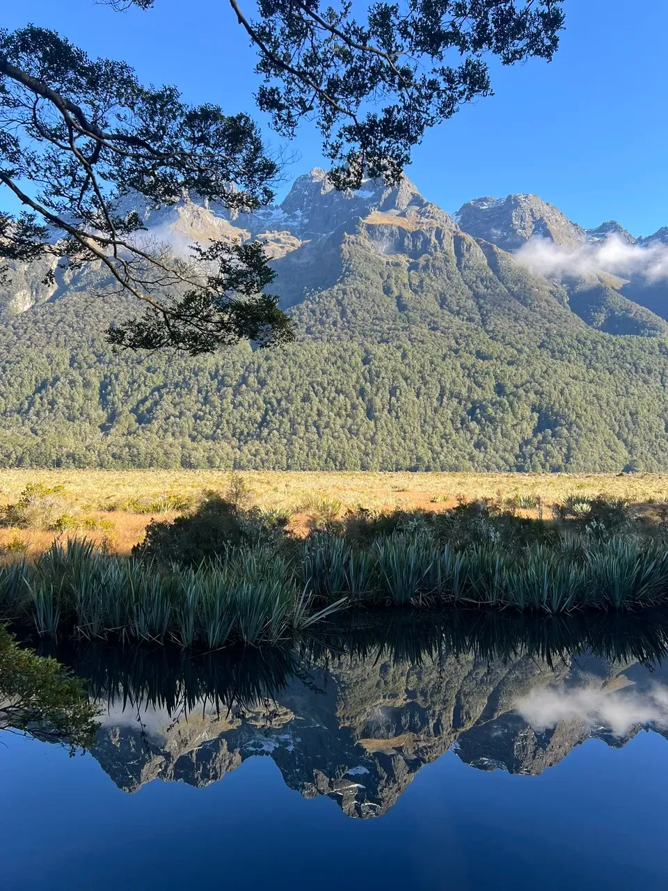 Mountains reflected in Mirror Lakes beside the Milford Road