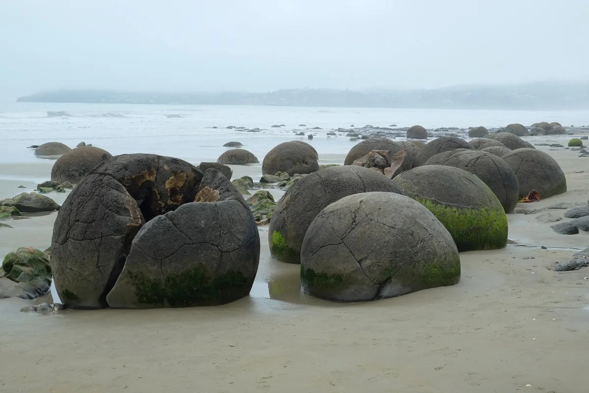 Round Moeraki Boulders on the beach at low tide